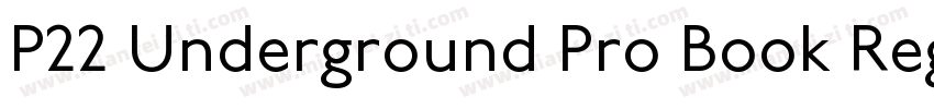 P22 Underground Pro Book Regular字体转换